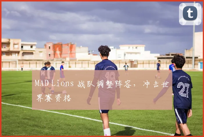 MAD Lions 战队调整阵容,冲击世界赛资格