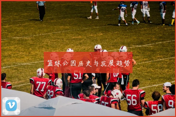 篮球公园历史与发展趋势
