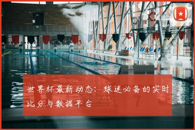 世界杯最新动态：球迷必备的实时比分与数据平台