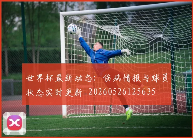 世界杯最新动态：伤病情报与球员状态实时更新_20260526125635