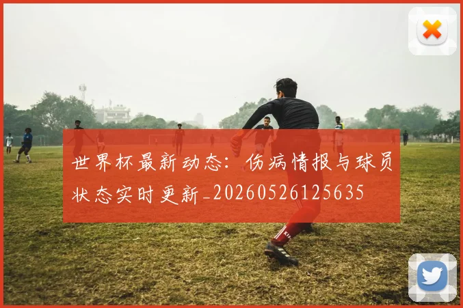 世界杯最新动态：伤病情报与球员状态实时更新_20260526125635