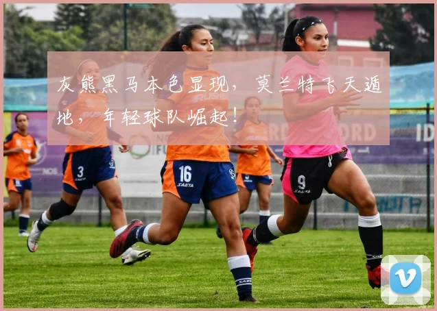 灰熊黑马本色显现，莫兰特飞天遁地，年轻球队崛起！