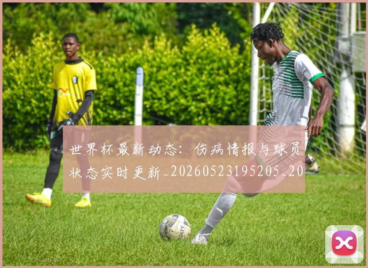 世界杯最新动态:伤病情报与球员状态实时更新_20260523195205_20260702173933_20260715190744