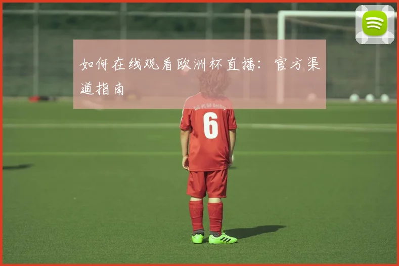 如何在线观看欧洲杯直播：官方渠道指南
